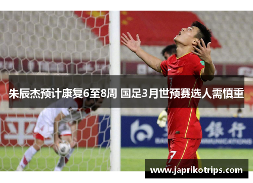 朱辰杰预计康复6至8周 国足3月世预赛选人需慎重 朱辰杰预计康复6至8周 国足3月世预赛选人需慎重